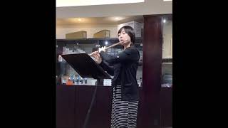 【開箱】宮澤手工長笛 Miyazawa Flute BR14K2REH 14K金（附試奏片段） [upl. by Selegna]