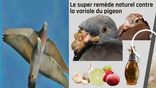 Le super remède naturel contrela variole du pigeon [upl. by Onia]