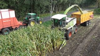 Chopping corn silage with Claas amp John Deere [upl. by Fem210]