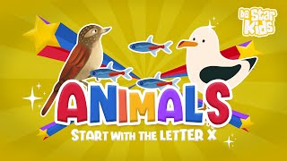 Learning Alphabet  Animals Starting with X  Learn Animal Words That Start With Letters X [upl. by Sidman]