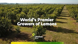 Citromax has been one of the world’s premier lemon growers for 50 years [upl. by Aititel]