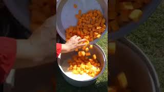 Village life 🐂 vlog and cooking 🍳 azarbhai Jan trending food villagecookingchanel cookingchannel [upl. by Joanie]