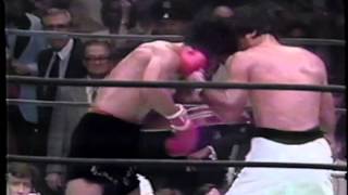 roberto duran VS carlos palomino [upl. by Gerkman]