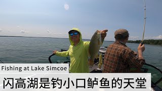 Lake Simcoe boat fishing [upl. by Loziram]