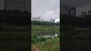 비 그친 긴 둑에 풀빛 짙은데 Its full of grass on the long bank thats stopped raining [upl. by Ablem]