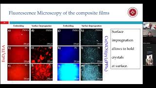 Colorimetric Mechanical Sensors Based PolymerParticle Systems [upl. by Demah329]