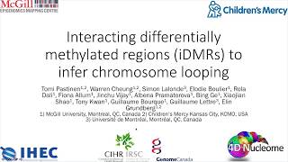 Interacting differentially methylated regions iDMRs to infer chromosome looping [upl. by Gable]