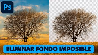 ✅ Cómo Eliminar Fondos Difíciles en Photoshop Tutorial Paso a Paso🖌️ [upl. by Betty]