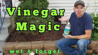 Vinegar Magic Removing mold and mildew [upl. by Dlarrej263]