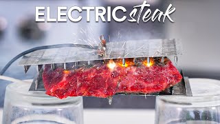 I cooked steaks using ELECTRICITY and this happened [upl. by Eisenstark141]