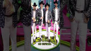 Los Tucanes De Tijuana  El Agricultor T2MMusicaNorteñashots [upl. by Ibbor]