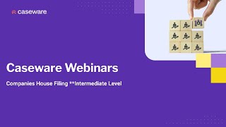 Companies House Filing  Intermediate Webinar  5th September 2024 [upl. by Janyte]