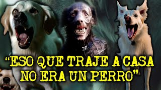 quotESO QUE TRAJE A CASA NO ERA UN PERROquot EXPERIENCIAS CON PERROS ACTUANDO COMO HUMANOS [upl. by Bainbridge66]