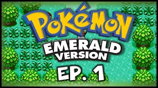 WILDCAT Reupload Pokemon Emerald Randomizer Nuzlocke Ep 1  Choose My Starter [upl. by Eleonora]