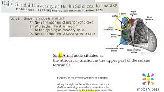 Anatomy Thorax 288 SinoAtrial Node location SinuAtrial Heart SVC Solved Question Paper MCQ [upl. by Hareehat30]