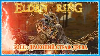 ДРАКОНИЙ СТРАЖ ДРЕВА  DRACONIC TREE SENTINEL 🔥 ELDEN RING [upl. by Cyma]