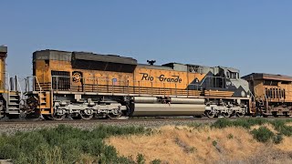 Union Pacific trains in Nyssa Oregon ft UP 1989 [upl. by Curran]