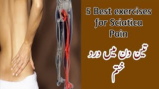 5 Best exercises for Sciatica Pain Relief in Urdu [upl. by Immij]