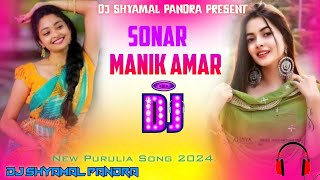 Sonar Manik Amar New Purulia Song 2024 ROBOT BASS Dj Shaymal Pandra [upl. by Oileve]