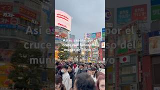 ¡JAPÓN ¡Así es caminar por el cruce más famoso del mundo dailyvlog viajes japan vlog japon [upl. by Reeta970]