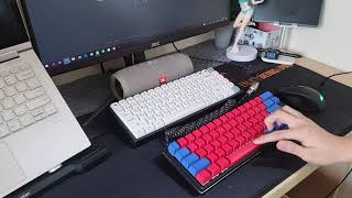 Gateron Silent Red Sound Test STOCK amp Compared to Normal Switches Scuffed  Mechanical Keyboard [upl. by Eidroj22]