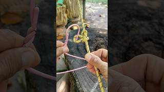 Learn the rope hanging knot knots tricks useful diy tips shorts [upl. by Gnem857]