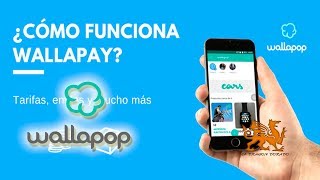 🎁WALLAPOP ¿ COMO FUNCIONA Wallapop WALLAPAY 🎆✨ WALLAPOP 9 [upl. by Yaakov970]