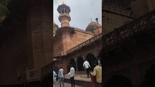 Taj Mahal 😱 ticket gate trending shorts viralvideo youtubeshorts shortsfeed [upl. by Tobin]