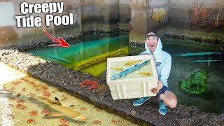 Catching AQUARIUM FISH In CREEPY TIDE POOL For My Saltwater Pond [upl. by Kalli]