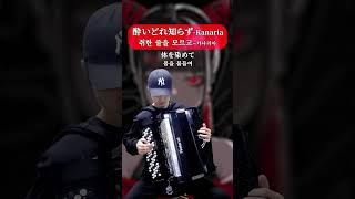 酔いどれ知らずKanaria  취한 줄을 모르고카나리아 accordion 弾いてみた [upl. by Erait542]