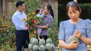 An amp His Wife Went To Harvest Melons  How Pathetic Is Her Husbands Lover [upl. by Alad]