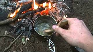 Foraging Edible Plants  Blueberry Leaf Tea  Wild Food [upl. by Ameehs235]