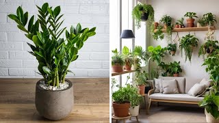 indoor decor ideas with plants [upl. by Mikeb]