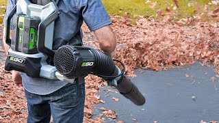 The Best Backpack Leaf Blowers of 2024 [upl. by Anigue]