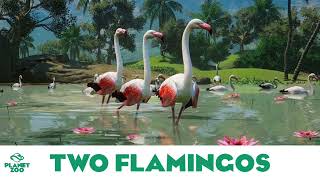 Planet Zoo Two Flamingos  Planet Zoo MusicBase Game [upl. by Aramois955]