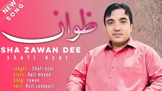 Sha Zawan Dee  Shafi Esar  New Song  New Pashto Song 2024 [upl. by Niad205]