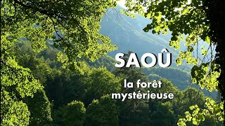 Saoû la forêt mystérieuse [upl. by Fatima]