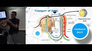 APOE APOE4 Cholesterol LDL amp Insulin Resistance  links to heart disease amp dementia [upl. by Anitirhc]