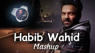 Habib Wahid New Version Song 2024  Lofi song Latest Version [upl. by Aneehsor]