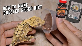 How to Make Crested Gecko Diet What WE Feed [upl. by Leesen40]