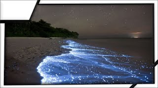 Sea of Stars on Vaadhoo Island Maldives [upl. by Tibold]