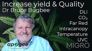 How to increase yield and quality with Dr Bruce Bugbee [upl. by Odlonra]