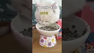 Feel the changes in cats after drinking goat milk powder for a year Cute pet goodies Pet goat [upl. by Buskus]