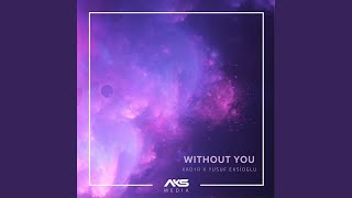 Without You [upl. by Hertz]