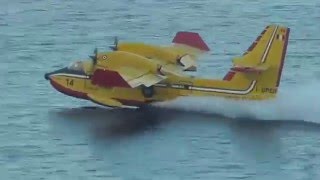 Canadair in azione a Palermo [upl. by Gnik549]