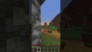 Tax season pt2 minecraft funny [upl. by Nye]