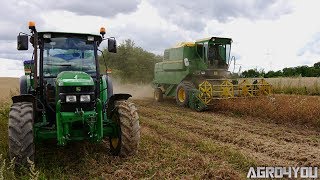 Żniwa w Świętokrzyskim 2017 GoPro4 Koszenie Grochu John Deere 975 amp John Deere 5080M [upl. by Neyu990]