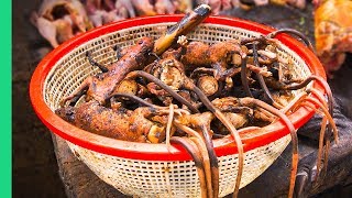 Bizarre Indonesian Jungle Food Welcome to EXTREME Indonesian Cooking in North Sulawesi [upl. by Ylro]