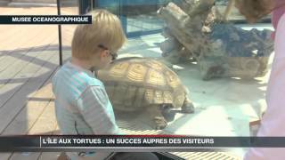 Musée Océanographique  lîle aux tortues est un succès [upl. by Corkhill]