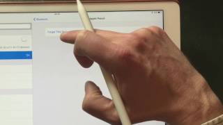 iOS 102 Apple Pencil Not Working  Solution [upl. by Kai878]